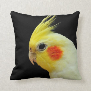 Almofada Cockatiel de Lutino