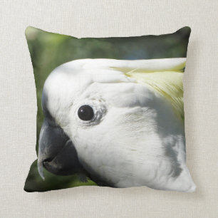 Almofada Cockatoo com crista do enxofre