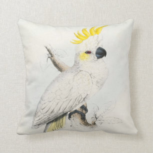 Almofada cockatoo enxofre-com crista de #13-Lesser