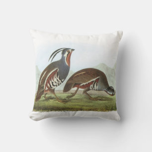Almofada Codorniz de montanha por Audubon