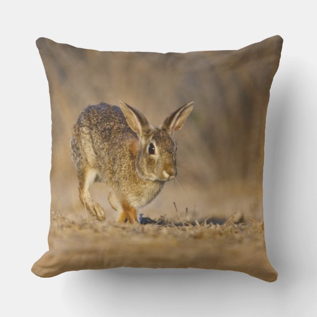Almofada coelho da cottontail oriental saltando (Frente)