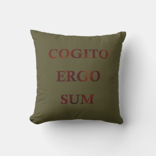 Almofada cogito ergo sum, frase latina