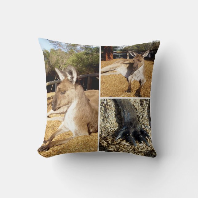 Almofada Colagem de Três Imagens Kangaroo, Cushion (Frente)