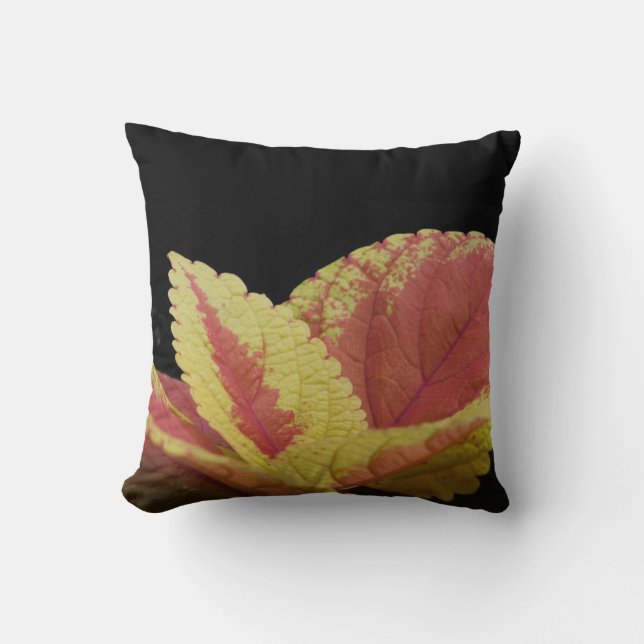 Almofada Coleus Leaves (Frente)