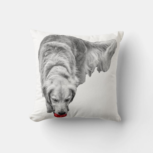 Almofada Colheita (Frente)