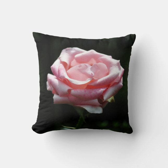 Almofada Colheita Rosa Rosa Rosa Rosa Rosa (Frente)