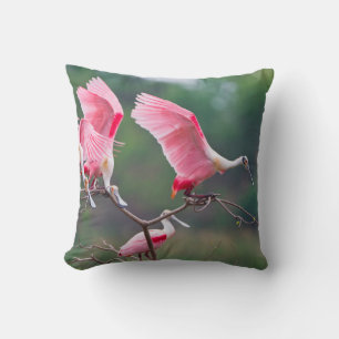 Almofada Colheres Rosadas (Ajaia Ajaja) Pousando