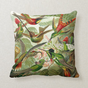 Almofada Colibri do Trochilidae de Ernst Haeckel
