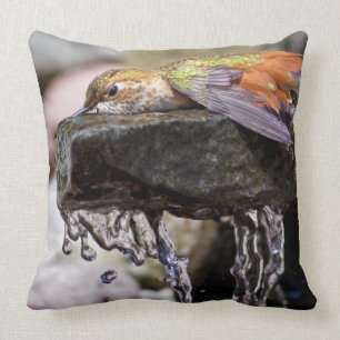 Almofada Colibri que coloca na água 2