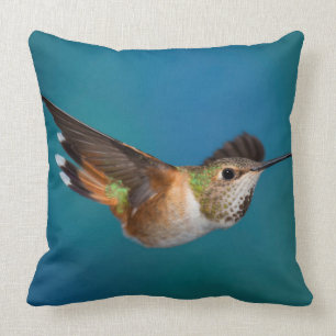 Almofada Colibri Rufous