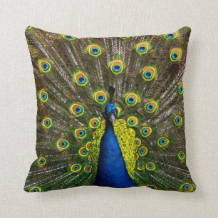 Almofada Colorful peacock
