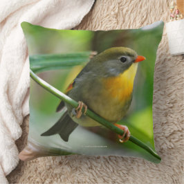 Almofada Colorida Leiothrix Pekin Robin Songbird