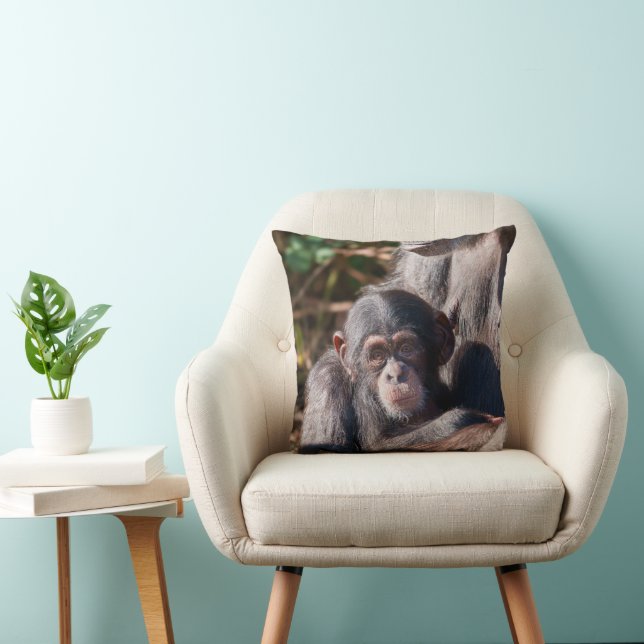 Almofada Começos Suaves – Amor de Chimpanzé (Cadeira)