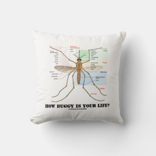 Almofada Como É A Sua Vida? Humor com Anatomia do Mosquito