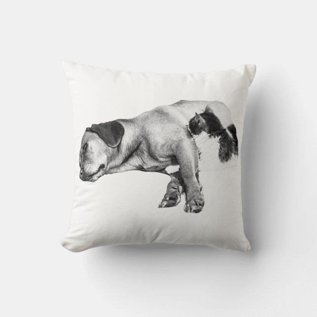 Almofada Companheiros Brilhantes da Abóbora (Frente)