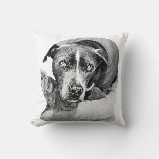 Almofada Complemento de colheita noturna (Frente)