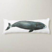 Bowhead Whale Watercolor illustration