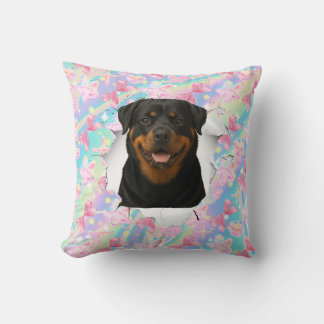 Almofada Coquette Pet Personalizável que Aparece
