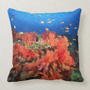 Almofada Coral e peixes