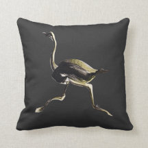 Corredor da avestruz