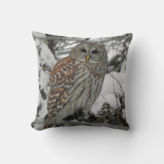 Almofada Coruja riscada (Frente)