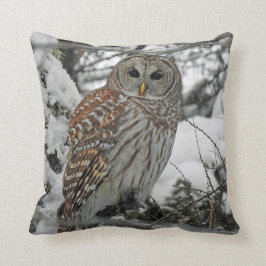 Almofada Coruja riscada