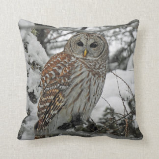 Almofada Coruja riscada
