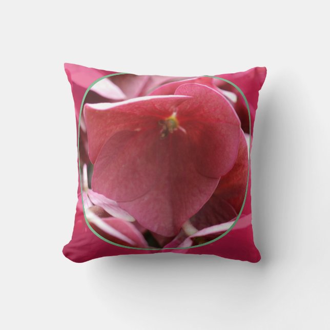 Almofada coussins décoratifs (Frente)