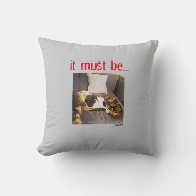 Almofada Coxim (Frente)