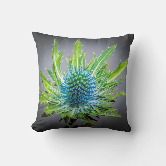 Almofada Coxim azul do Eryngium (Frente)