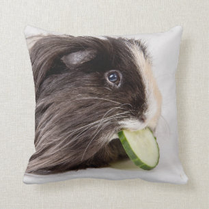 Almofada Coxim com a cobaia bonito que come o pepino