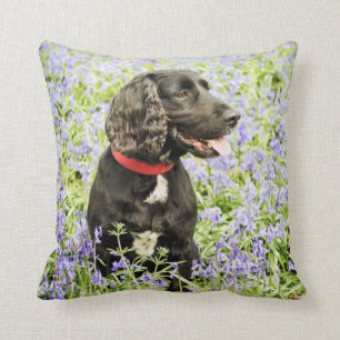 Almofada coxim com o spaniel preto nos bluebells