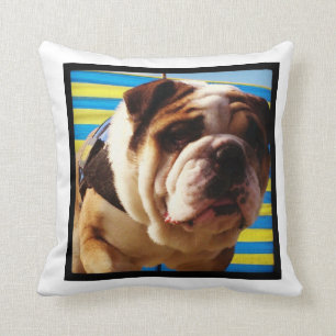 Almofada Coxim do buldogue