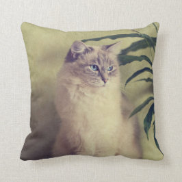 Almofada Coxim do gato de Ragdoll