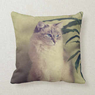 Almofada Coxim do gato de Ragdoll