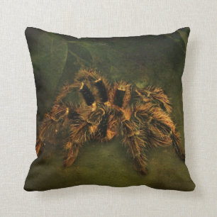 Almofada Coxim do Tarantula