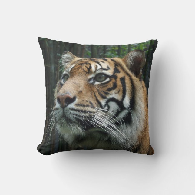 Almofada Coxim do tigre de Sumatran (Frente)