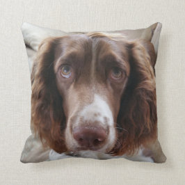 Almofada Coxim/springerface do spaniel de Springer