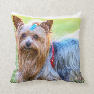 Almofada Criação Favorita de Yorkshire Terrier Yorkie