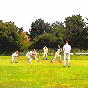 ALMOFADA CRICKET