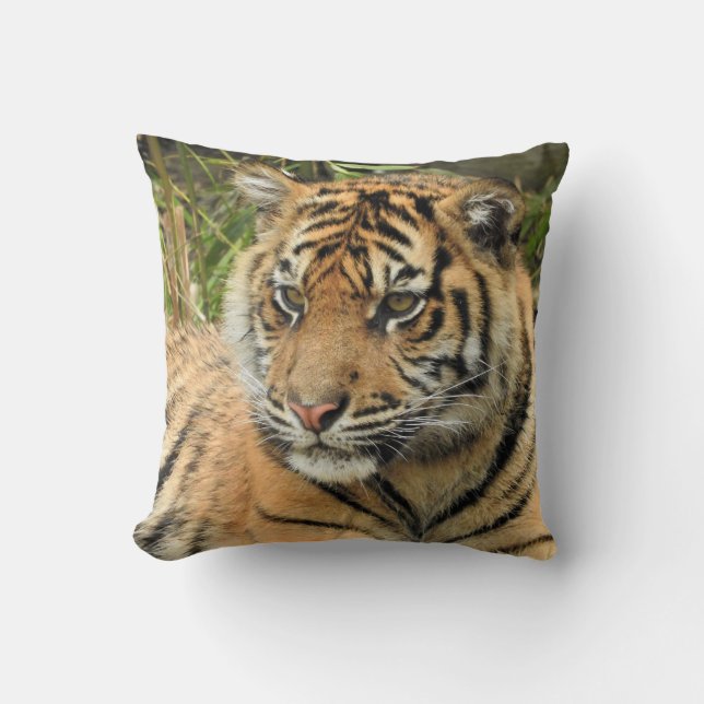 Almofada Cubo Sumatran Tiger (Frente)