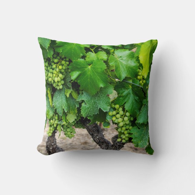 Almofada Cultivo de Uvas para Vinho, França (Frente)