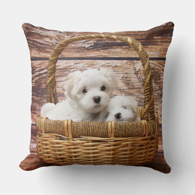 Almofada Cuppies Brancos Numa Cesta (Frente)