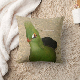 Almofada Curiosa Guiné Turaco Green Pássaro