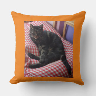 Almofada Curioso Dave Joga Cushion