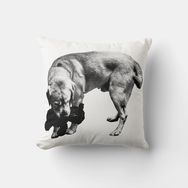 Almofada Curva de proteção (Frente)