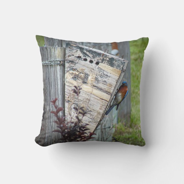 Almofada  Cushion ao ar livre (Frente)