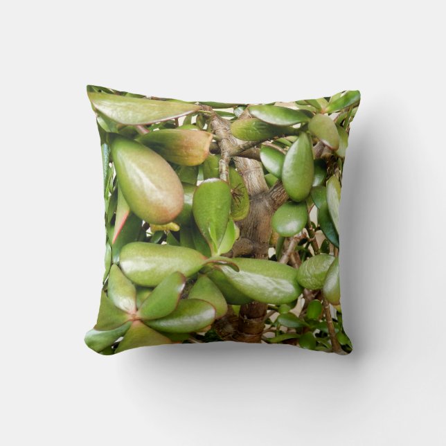 Almofada Cushion Crassula ovata (Frente)