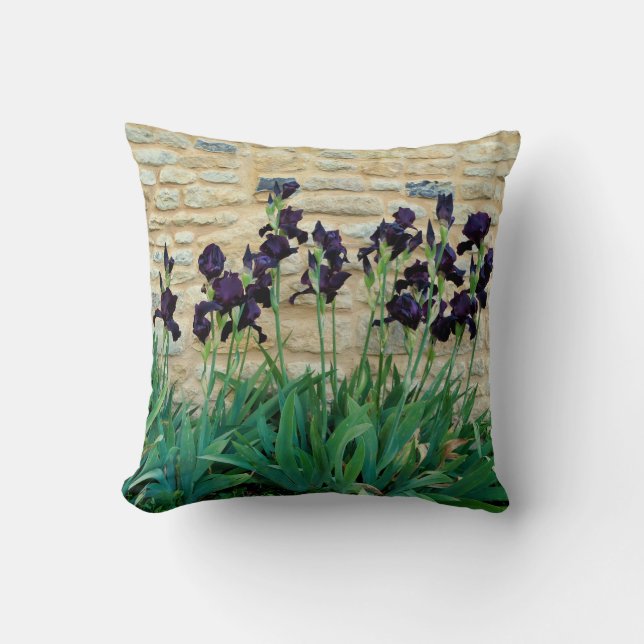 Almofada Cushion de lança-íris com barba (Frente)