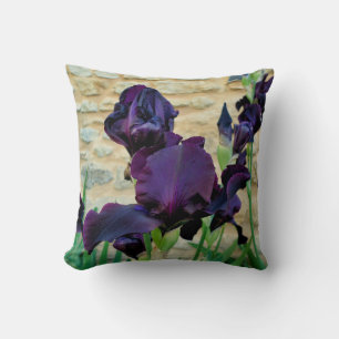 Almofada Cushion de lança-íris com barba